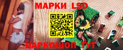 Альфа ПВП Малгобек