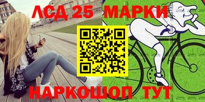 Альфа ПВП Малгобек