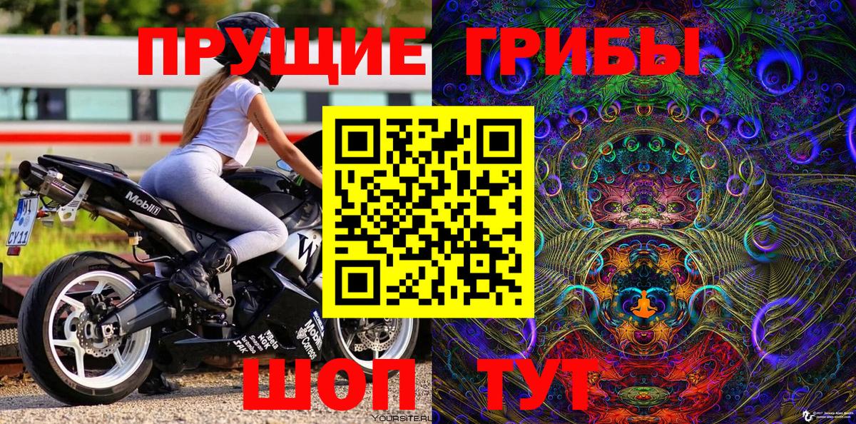 Галлюциногенные грибы GOLDEN TEACHER Чайковский